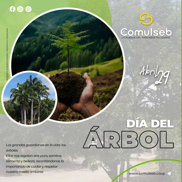 /Files/articulos/29-diadelarbol.png