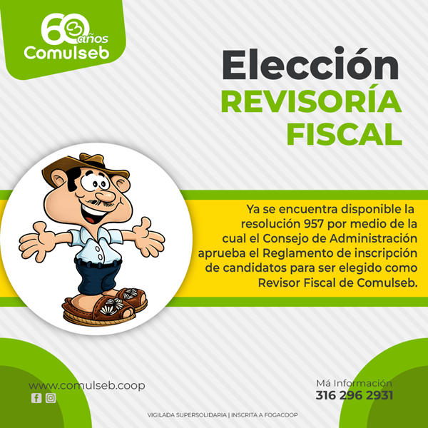 /Files/articulos/eleccion-revisorfiscal.png